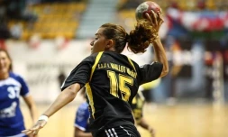 Samedi 28 Mai 2011

Finales des championnats de hand