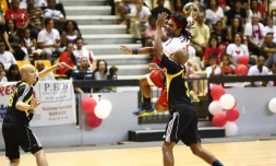 Samedi 28 Mai 2011

Finales des championnats de hand