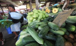 Lundi 30 Mai 2011
Petit marché