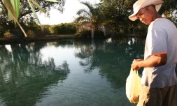 Majunga photo Bernard Batou