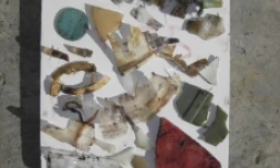 Déchets retrouvés dans l'estomac d'une tortue caouanne le 21 mai 2011 (Photo Kélonia)