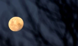 Super lune cuivrée au-dessus d'Assuncion, le 24 mai 2021