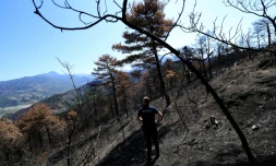Le chef des pompiers Ilir Llapushi inspecte les dégâts causés par des incendies à Skenderbegas, près de Gramsh, dans le centre de l'Albanie, le 16 septembre 2025 