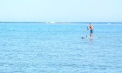 Paddle Board