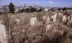Des herbes folles recouvrent les stÚles funéraires des victimes de féminicides dans le cimetiÚre de Siwan à Souleimaniyeh au Kurdistan autonome d'Irak le 17 mai 2024.