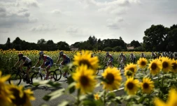 Le peloton du Tour de France lors de la 18e étape entre Trie-sur-Baise et Pau, le 26 juillet 2018