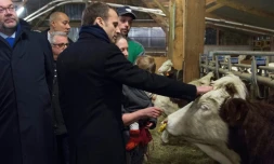Le Président français Emmanuel Macron (C) et le ministre de l'Agriculture Stephane Travert (G) visitent une ferme à  Aurieres, le 25 janvier 2018