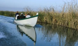 Une barque à moteur sert de transport pour le vétérinaire irakien Karrar Ibrahim Hindi afin de soigner les buffles des marais dans la région de Chibayich, le 26 mars 2022