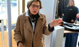 Viviane Lambert, la mère de Vincent Lambert, à son arrivée à la cour d'appel le 16 février 2017 à Reims