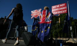 Manifestation anti-Brexit devant le Parlement britannique, le 29 août 2019