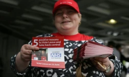 Joy, une partisane de "Vote leave", la campagne pour l'Union européenne à Londres le 29 mai 2016