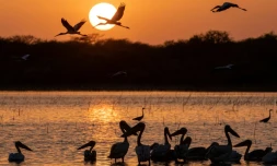 Un lac du parc national de Dinder au Soudan, le 6 avril 2021