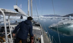 David Delample, capitaine du voilier Kamak de l'expédition Greelandia, navigue entre les icebergs du Scoresby Fjord, le 15 août 2023 au Groënland