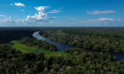 La forêt amazonienne dans l'Etat brésilien de l'Amazonas, le 28 juin 2018