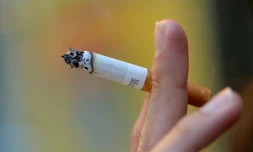 28,2% des Français de 15 à 75 ans fume de manière quotidienne ou régulière, soit 13,6 millions de personnes