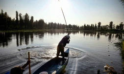 Des pêcheurs dans le jardin aztèque de Xochimilco, au sud de Mexico, le 1er août 2017