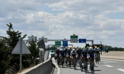 Le peloton du Tour de France en route vers le Chalet Reynard, lors de la 12e étape, le 14 juillet 2016
