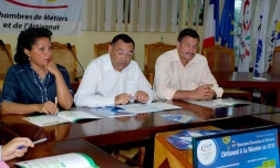 Mardi 21 juin 2011 - Conférence de presse sur les chiffres 2010 de l'artisanat (photo D.R)