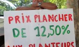 Jeudi 30 Juin 2011 Manifestation des planteurs devant le CTICS 
Photo Mamousse Mathieu