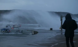 Une personne regarde les bateaux secoués par la houle lors d'une tempête à Auderville, le 8 février 2016 dans la Manche