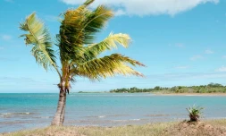 Une alerte au tsunami a été lancée