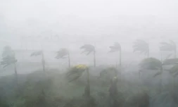 La ville de Miami frappée par l'ouragan Irma, le 10 septembre 2017