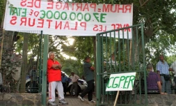 Lundi 4 juillet 2011 Les planteurs de nouveau devant le CTICS
Photo Michel Désiré / Mamousse Mathieu