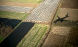 L'Afrique du sud a saisi un Airbus de la compagnie nationale Air Tanzania pour des impayés de 33 millions de dollars réclamés par un fermier dont les terres ont été nationalisées dans les années 80