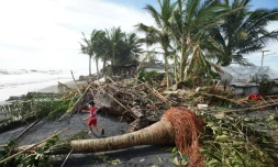 Des arbres arrachés par le typhon Rai à Dulag, aux Philippines, le 17 décembre 2021