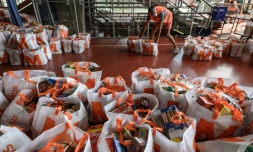 Distribution d'aide alimentaire à Genève, le 9 mai 2020