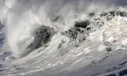 Dimanche 10 Juillet 2011

Houle dans l'ouest