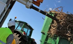 Lundi 11 Juillet 2011 Bois rouge - Début de la coupe de la canne dans l'est
Photo Mamousse Mathieu