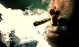 Le marché des drogues illicites en France pour l'année 2010 est estimé à 2,3 milliards d'euros, dominé par le cannabis (1,1 milliard) et la cocaïne (902 millions)