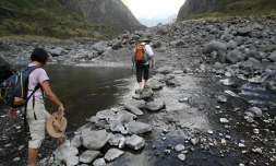 Paysage de La Réunion