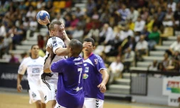 Mercredi 20 juillet 2011: Match entre le THW Kiel et les Kréopolitains (photos: image-reunion)