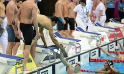 Clément Mignon est congratulé par Florent Manaudou et ses autres collÚgues vainqueurs du relais 4x100 m à l'Euro de Londres, le 16 mai 2016