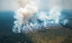 Incendie dans le parc national de Chiribiquete, dans le nord-ouest de l'Amazonie colombienne, le 4 février 2022