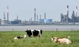 Pour entrer en vigueur, l'accord nécessitait d'avoir été ratifié par 55 pays représentant au moins 55% des émissions de gaz à effet de serre