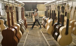 Des guitares prĂȘtes Ă ĂȘtre vernies dans un atelier de lutherie de Reghin, en Roumanie, le 22 janvier 2021