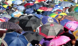 Lundi 15 Août 2011

Parasols à la  messe de l'Assomption à Sainte-Rose
