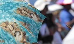 Lundi 15 Août 2011

Parasols à la  messe de l'Assomption à Sainte-Rose