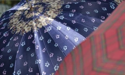 Lundi 15 Août 2011

Parasols à la  messe de l'Assomption à Sainte-Rose