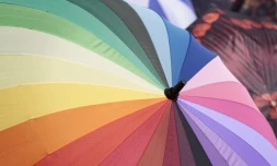 Lundi 15 Août 2011

Parasols à la  messe de l'Assomption à Sainte-Rose