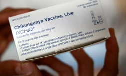 Les autorités sanitaires viennent de retirer "sans délai" les plus de 65 ans de la campagne de vaccination contre le chikungunya avec le vaccin Ixchiq à La Réunion et Mayotte 