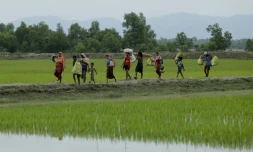 Des réfugiés rohingyas partis de Birmanie arrivent à Teiknaf, le 7 septembre 2017 au Bangladesh