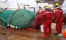 Pêche à la légine (photo d'archives des TAAF)