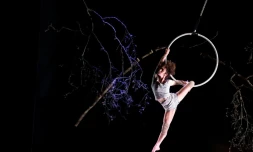 Sur les planches et dans les airs, sous l'immense chapiteau jaune qui a parcouru le monde pendant 30 ans, le Cirque Plume présente son dernier spectacle "La dernière saison", le 6 juin 2017 à Besançon