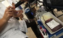 Mercredi 24 août 2011 - Collecte de sang à Saint-Denis.
(Photo Michel Désiré)