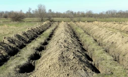 Des tombes qui viennent d'être fraichement creusées, le 7 avril 2020 à Dnipro en Ukraine en cas d'un afflux de morts du Covid-19