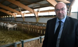 Stéphane Travert, le 15 septembre 2017 dans une ferme à Cornus dans le centre de la France